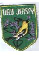 New Jersey I.jpg